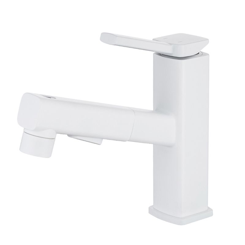Lever Handle Faucet Pull-out Vessel Sink Faucet with Swivel Spout Clearhalo 'Bathroom Remodel & Bathroom Fixtures' 'Bathroom Sink Faucets' 'Bathroom Sinks & Faucet Components' 'bathroom_sink_faucets' 'Home Improvement' 'home_improvement' 'home_improvement_bathroom_sink_faucets' 1200x1200_f86c7e5a-2851-4a22-b961-85885f7a8736