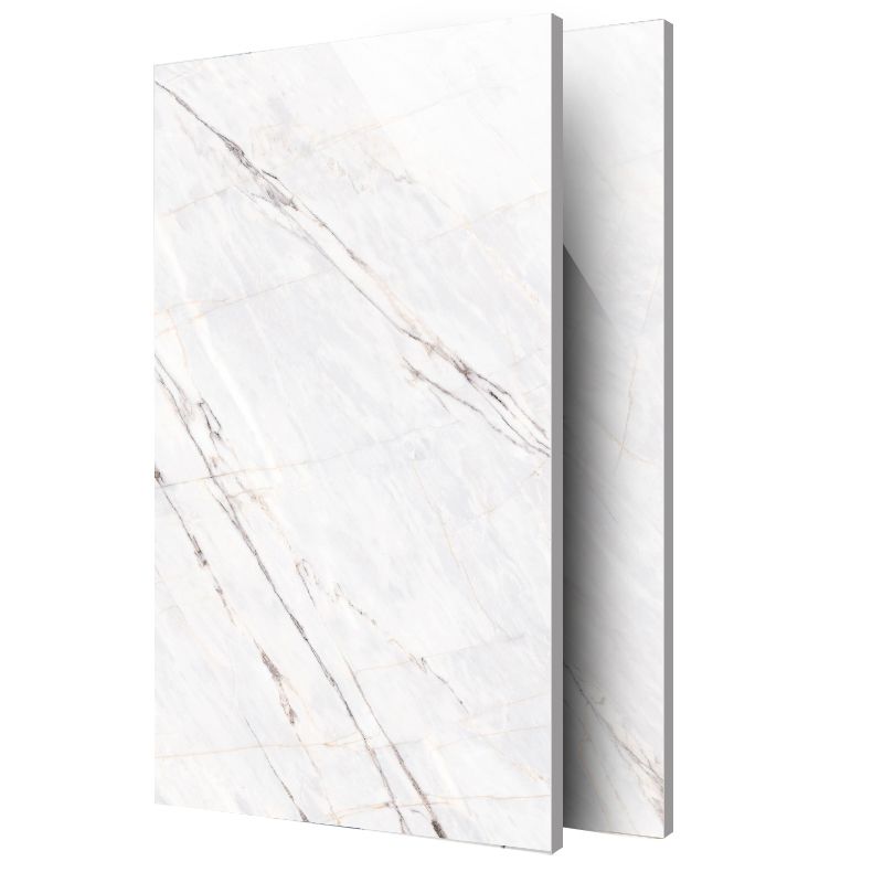 Mirrored Singular Tile Marble Rectangular Modern Floor and Wall Tile Clearhalo 'Floor Tiles & Wall Tiles' 'floor_tiles_wall_tiles' 'Flooring 'Home Improvement' 'home_improvement' 'home_improvement_floor_tiles_wall_tiles' Walls and Ceiling' 1200x1200_fbffe3d4-4e1e-49b9-bd76-50c72217fdbf