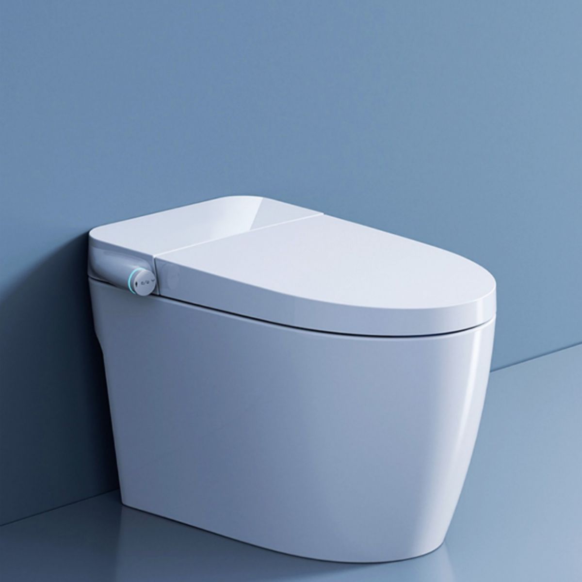 Elongated Floor Mount Bidet All-In-One Smart Bidet with Heated Seat Clearhalo 'Bathroom Remodel & Bathroom Fixtures' 'Bidets' 'Home Improvement' 'home_improvement' 'home_improvement_bidets' 'Toilets & Bidets' 1200x1200_fc072cba-4060-4b9d-8d36-2ffed6f35b58