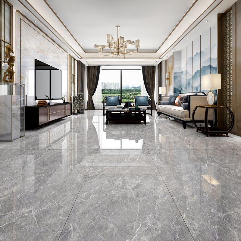 Rectangle Matte Singular Tile Marble Light Gray Tile for Home Decor Clearhalo 'Floor Tiles & Wall Tiles' 'floor_tiles_wall_tiles' 'Flooring 'Home Improvement' 'home_improvement' 'home_improvement_floor_tiles_wall_tiles' Walls and Ceiling' 1200x1200_fc896043-68c5-4797-8c0c-b2e0142f241c