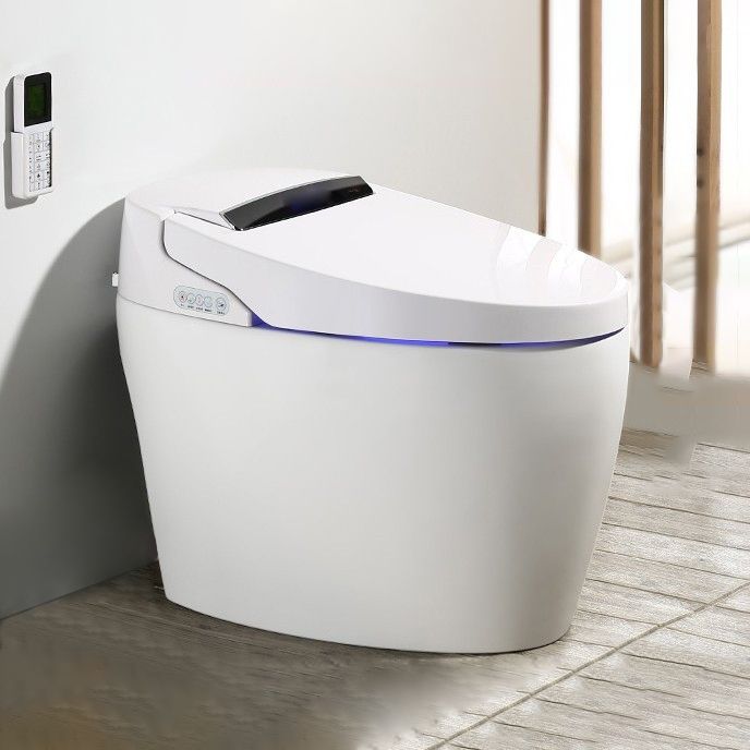 Modern 1-Piece Bidet Toilet Floor Mounted Toilet Bowl for Washroom Clearhalo 'Bathroom Remodel & Bathroom Fixtures' 'Home Improvement' 'home_improvement' 'home_improvement_toilets' 'Toilets & Bidets' 'Toilets' 1200x1200_fc99fbaf-ac2d-4c8a-aa10-df3827361932