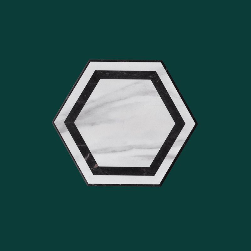 Hexagon Floor and Wall Tile Singular Tile Porcelain Floor and Wall Tile Clearhalo 'Floor Tiles & Wall Tiles' 'floor_tiles_wall_tiles' 'Flooring 'Home Improvement' 'home_improvement' 'home_improvement_floor_tiles_wall_tiles' Walls and Ceiling' 1200x1200_fd7c0da8-f51d-492f-bc14-8356b5087c9a