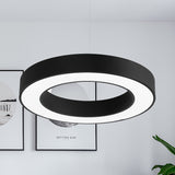 Thick Circle Iron Pendant Light Fixture Minimal Black LED Hanging Ceiling Light for Office Clearhalo 'Ceiling Lights' 'Modern Pendants' 'Modern' 'Pendant Lights' 'Pendants' Lighting' 1455832