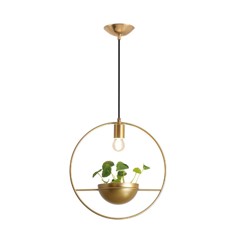 Gold Circular Hanging Light Fixture Factory Iron 1-Head Dining Room Plant Pendant Lighting Clearhalo 'Art Deco Pendants' 'Cast Iron' 'Ceiling Lights' 'Ceramic' 'Crystal' 'Industrial Pendants' 'Industrial' 'Metal' 'Middle Century Pendants' 'Pendant Lights' 'Pendants' 'Tiffany' Lighting' 1458151