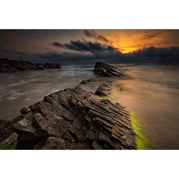 Moss Rocks in Sea Mural Wallpaper in Blue-Green Tropical Wall