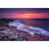 Whole Rock and Surge Mural Tropical Stunning Evening Glow Wall Covering in Purple Clearhalo 'Wall Decor' 'Wall Mural' 1468855