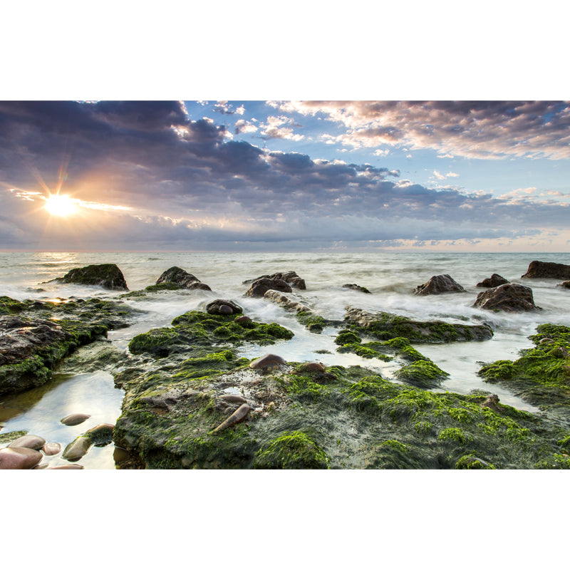 Big Seascapes Wall Paper Mural for Home Evening Sunshine on Moss Stone Wall Decor in Green, Washable Clearhalo 'Wall Decor' 'Wall Mural' 1468990