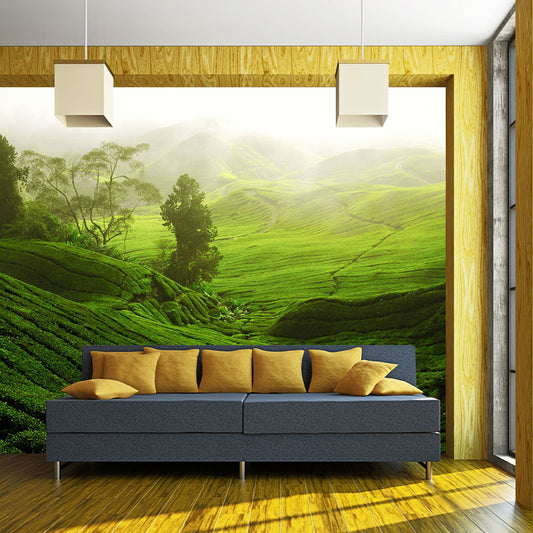 Customized Photography Modern Mural with Sunburst Above Tea Hills Pattern in Green Clearhalo 'Wall Decor' 'Wall Mural' 1501736