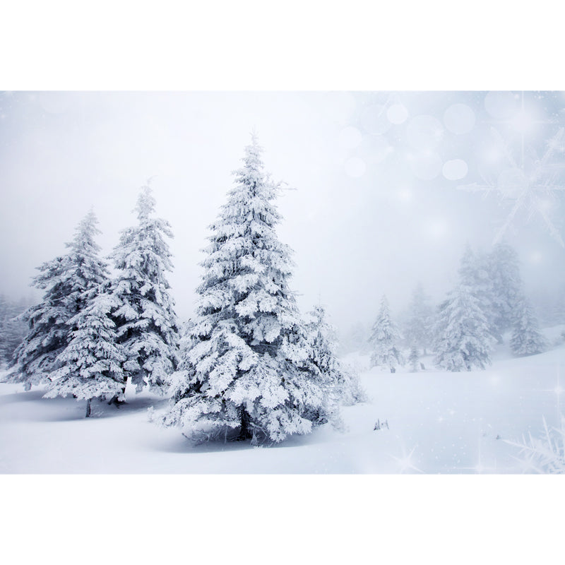 Whole Foggy Winter Landscape Mural Modern Stunning Snowy Cypress Wall Decor in White Clearhalo 'Wall Decor' 'Wall Mural' 1502042