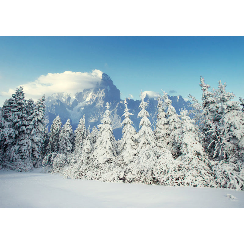 Winter Snow Cypress Scenery Mural Modern Non-Woven Fabric Wall Covering in White Clearhalo 'Wall Decor' 'Wall Mural' 1502267