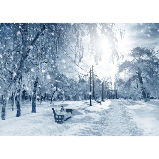 Large Winter Park Landscape Mural Moisture Resistant Modern Indoor Wall Art in Grey Clearhalo 'Wall Decor' 'Wall Mural' 1502272