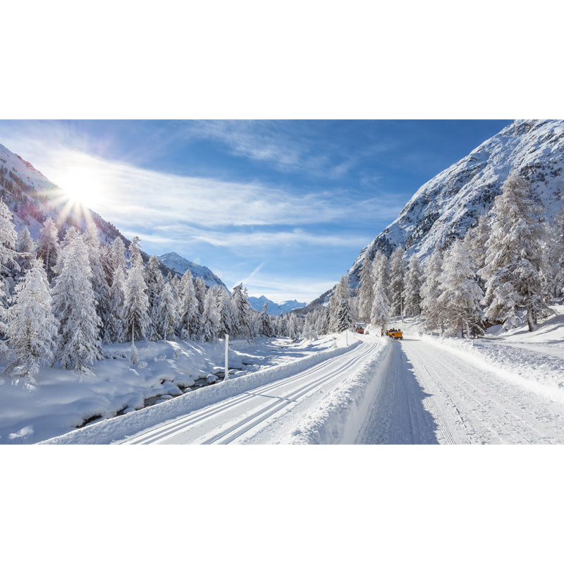 Big Winter Scenery Mural Modern Enchanting Snowy Road Across Mountain Wall Art in White Clearhalo 'Wall Decor' 'Wall Mural' 1502551