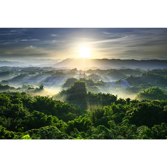 Big Scenery Wallpaper Mural Modern Aerial View of Sun Shines Across Forest Wall Decor in Green Clearhalo 'Wall Decor' 'Wall Mural' 1505266