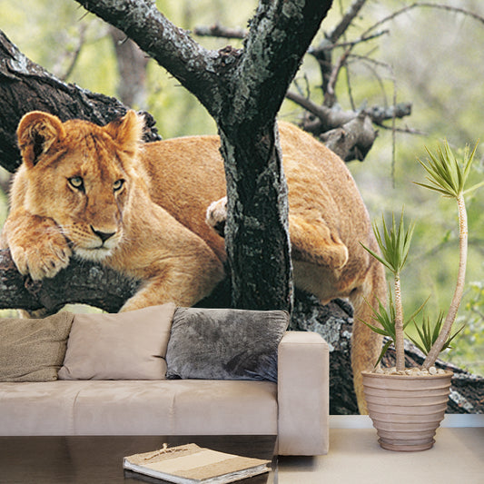 Teenage Lion in Tree Mural Wallpaper Modern Water-proof Living Room Wall Covering, Custom Made Clearhalo 'Wall Decor' 'Wall Mural' 1508412