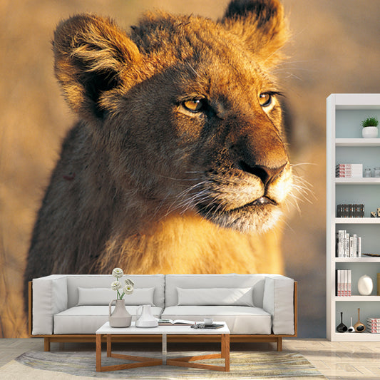 Modern Young Lion Sunset Mural Brown Moisture Resistant Wall Covering for Accent Wall Clearhalo 'Wall Decor' 'Wall Mural' 1508457