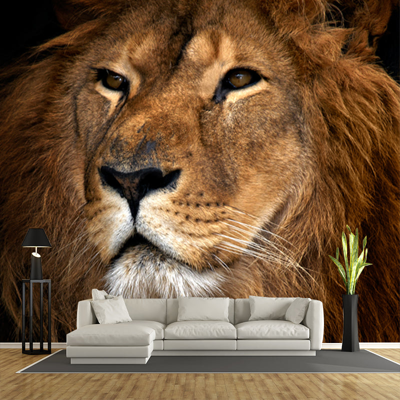 Big Closeup African Lion Mural Moisture Resistant Modern Bedroom Wall Art in Brown Clearhalo 'Wall Decor' 'Wall Mural' 1508591