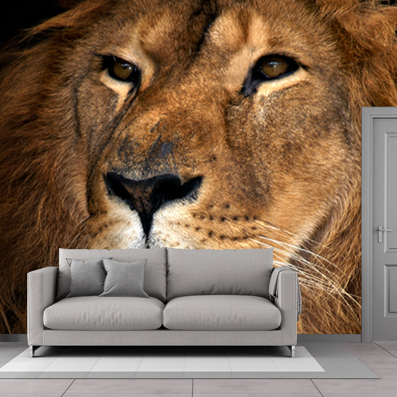 Big Closeup African Lion Mural Moisture Resistant Modern Bedroom Wall Art in Brown Clearhalo 'Wall Decor' 'Wall Mural' 1508592