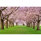 Extra Large Modern Mural Wallpaper in Pink Cherry Trees Wall Decor, Custom Printed Clearhalo 'Wall Decor' 'Wall Mural' 1595423