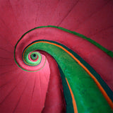 Cool Spiral Wall Covering Mural for Bedroom, Rose Red and Green, Made to Measure Clearhalo 'Wall Decor' 'Wall Mural' 1595828