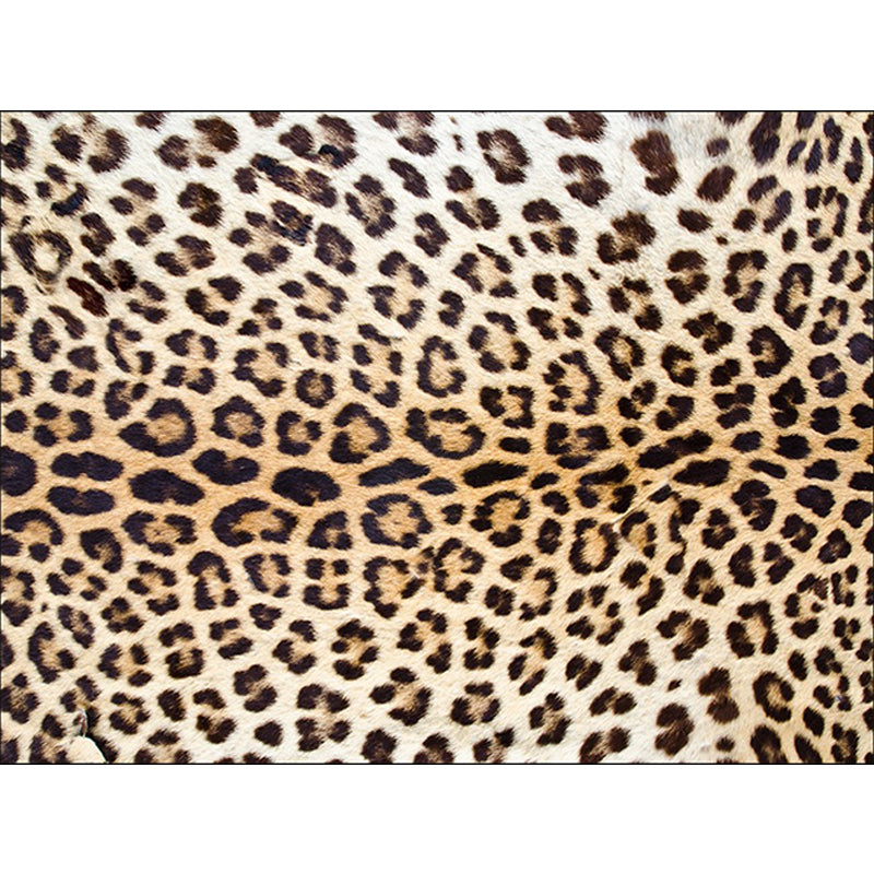 Brown Modern Rug Polyester Leopard Pattern Rug Washable Non-Slip Backing Carpet for Living Room Clearhalo 'Area Rug' 'Modern' 'Rugs' Rug' 1609808