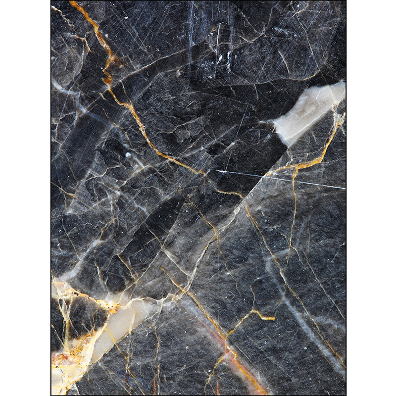 Funky Marble Surface Print Rug Black Nordic Rug Polyester Washable Non-Slip Backing Area Rug for Living Room Clearhalo 'Area Rug' 'Modern' 'Rugs' Rug' 1612537