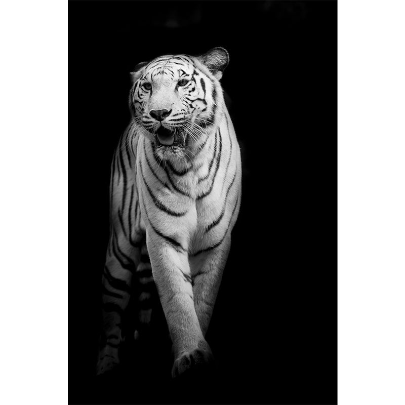 Wild Tiger Mural Wallpaper Contemporary Non-Woven Textured Wall Covering in Black Clearhalo 'Wall Decor' 'Wall Mural' 1618964