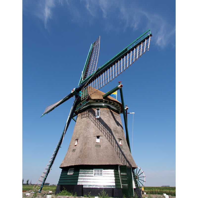 Whole Windmill Mural Wallpaper for Wall Decor Contemporary Girls Room Wall Covering Clearhalo 'Wall Decor' 'Wall Mural' 1627046