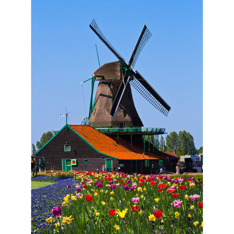 Whole Windmill View Mural Wallpaper for Wall Decor Contemporary Girls Room Wall Art Clearhalo 'Wall Decor' 'Wall Mural' 1647941