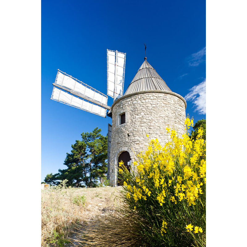 Whole Windmill View Mural Wallpaper for Wall Decor Contemporary Girls Room Wall Art Clearhalo 'Wall Decor' 'Wall Mural' 1647951