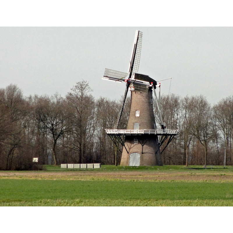 Large Static Windmill Mural Wallpaper Modern Landscape Wall Decor in Light Color Clearhalo 'Wall Decor' 'Wall Mural' 1648211