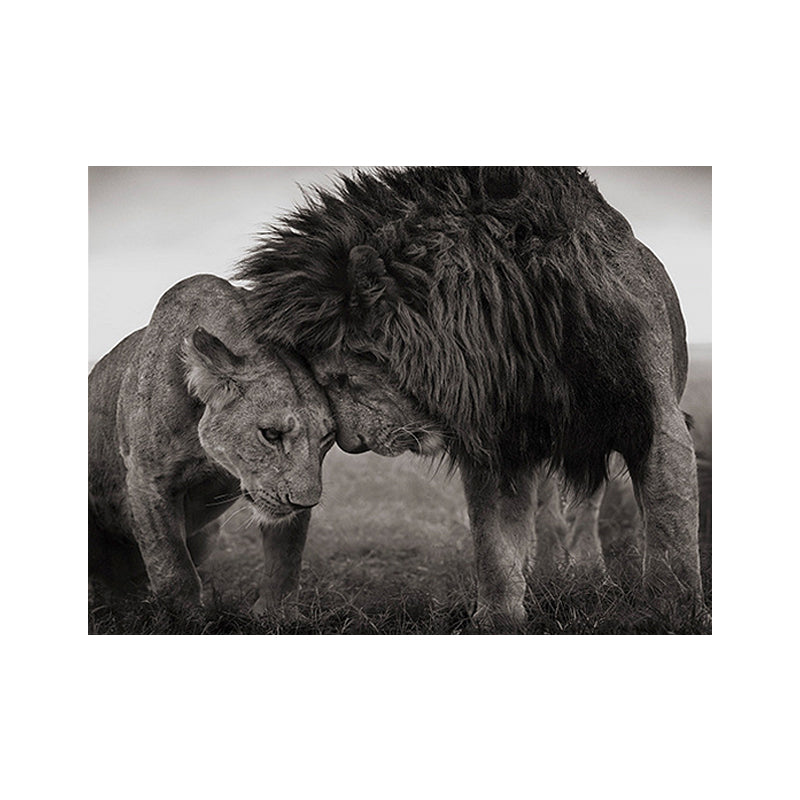 King of Savanna Lions Canvas Print Grey Modernist Wall Art Print for Sitting Room Clearhalo 'Art Gallery' 'Canvas Art' 'Contemporary Art Gallery' 'Modern' Arts' 1656219