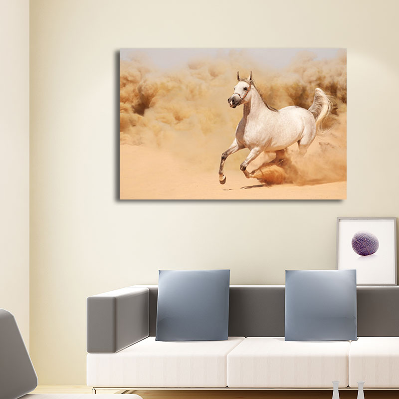 Photographs Modern Canvas Wall Art with Steed Running Pattern in Dark Color for Room Clearhalo 'Art Gallery' 'Canvas Art' 'Contemporary Art Gallery' 'Modern' Arts' 1656835