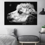 Sheep Head Canvas Wall Art for Bedroom Animal Print Wall Decoration in Grey, Texture Grey Clearhalo 'Art Gallery' 'Canvas Art' 'Contemporary Art Gallery' 'Modern' Arts' 1658950