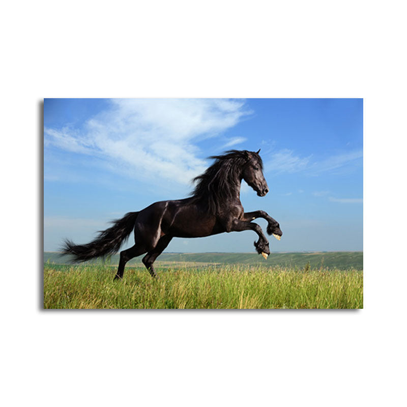 Modern Style Horse Print Canvas Pastel Color Textured Surface Wall Art Decor for Home Clearhalo 'Art Gallery' 'Canvas Art' 'Contemporary Art Gallery' 'Modern' Arts' 1659608