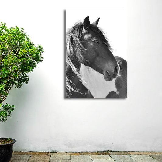 Photographs Horse Canvas Wall Art for Living Room, Black and White, Textured Surface Clearhalo 'Art Gallery' 'Canvas Art' 'Contemporary Art Gallery' 'Modern' Arts' 1659611