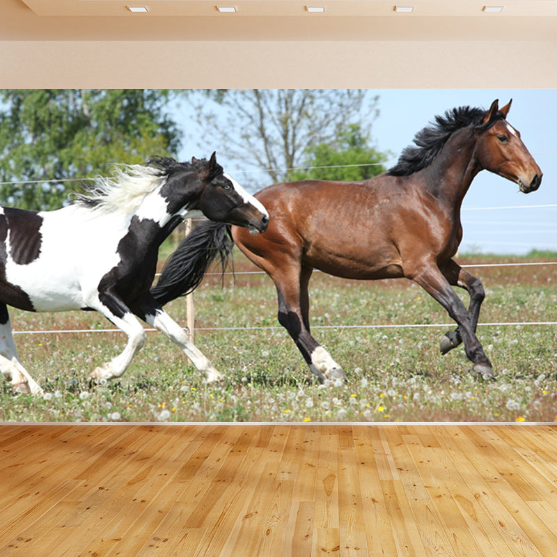 Big Horse Wall Paper Mural Stain Resistant Modern Family Room Wall Art, Custom Print Clearhalo 'Wall Decor' 'Wall Mural' 1757553