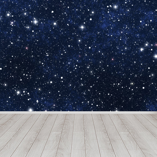 Night and Star Sky Mural Modern Smooth Wall Art in Dark Color for ...