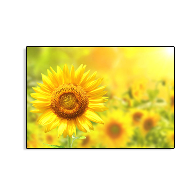 Modern Photographs Sunflower Art Print Bright Textured Wall Decor for Kids Bedroom Clearhalo 'Art Gallery' 'Canvas Art' 'Contemporary Art Gallery' 'Modern' Arts' 1765248