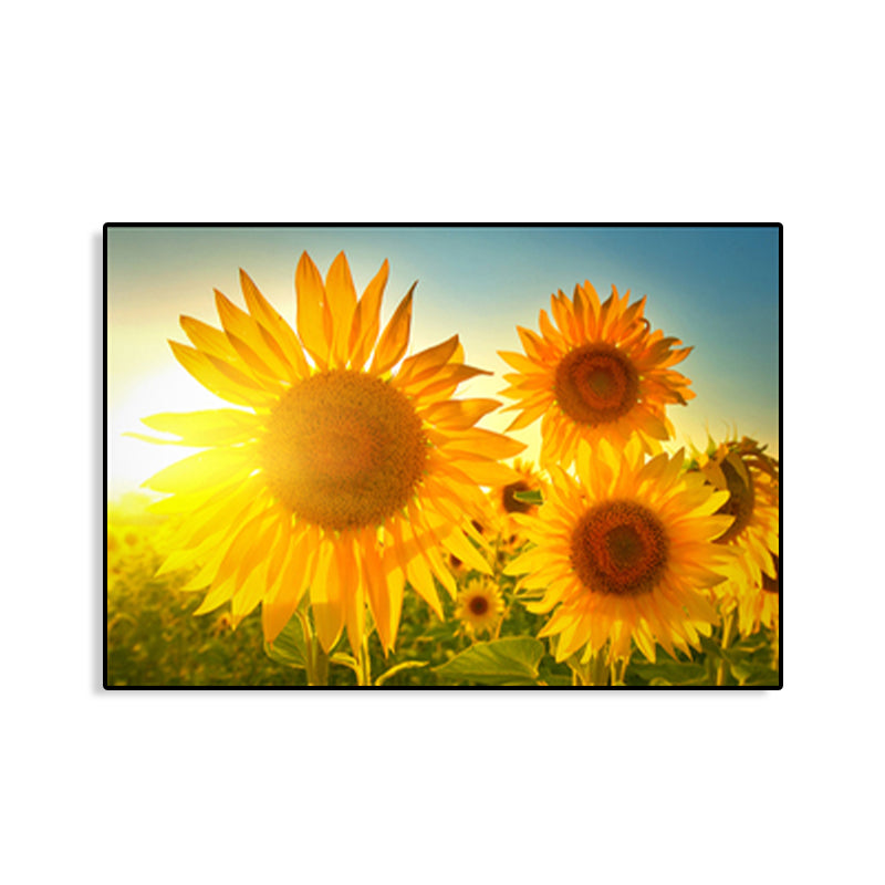 Modern Photographs Sunflower Art Print Bright Textured Wall Decor for Kids Bedroom Clearhalo 'Art Gallery' 'Canvas Art' 'Contemporary Art Gallery' 'Modern' Arts' 1765252