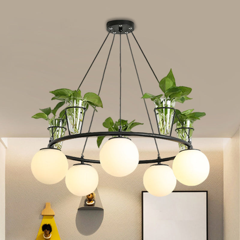 Cream Glass Globe Ceiling Chandelier Warehouse 3/5-Light Dining Room Hanging Light Kit in Black with Metal Ring Design 5 Black Clearhalo 'Ceiling Lights' 'Chandeliers' Lighting' options 1771038_cba1c654-a9b1-4a88-8ea2-390e7d5ecea2