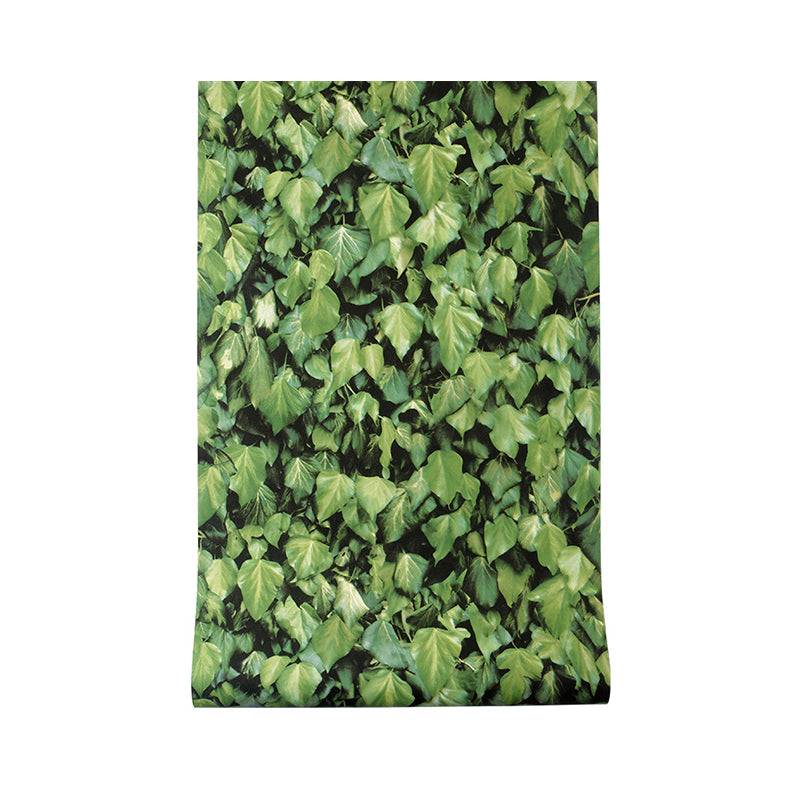 Non-Pasted 20.5-inch x 33-foot Fresh 3D Creeper and Boston Ivy Wallpaper for Restaurant and Dessert Shop Clearhalo 'Modern wall decor' 'Modern' 'Wallpaper' Wall Decor' 1806533