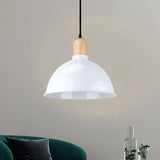 Dome Shade Metallic Hanging Light Retro Style 1 Head Dining Table Ceiling Pendant Fixture in Black/White Clearhalo 'Ceiling Lights' 'Modern Pendants' 'Modern' 'Pendant Lights' 'Pendants' Lighting' 1872347
