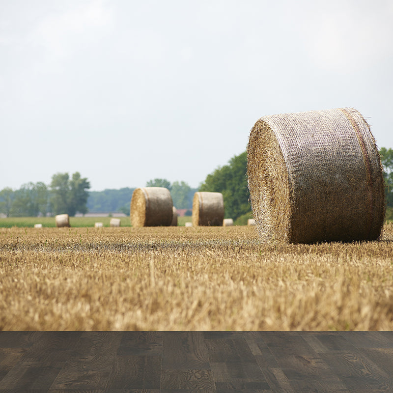 Modern Scenery Stacked Hay Mural Dark Color Stained Resistant Wall Art for Bedroom Brown Clearhalo 'Wall Decor' 'Wall Mural' 1895638