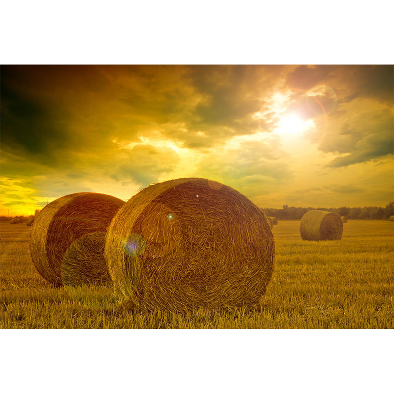 Farmland Haystack Mural Wallpaper Contemporary Non-Woven Fabric Wall Decor for Home Clearhalo 'Wall Decor' 'Wall Mural' 1895666