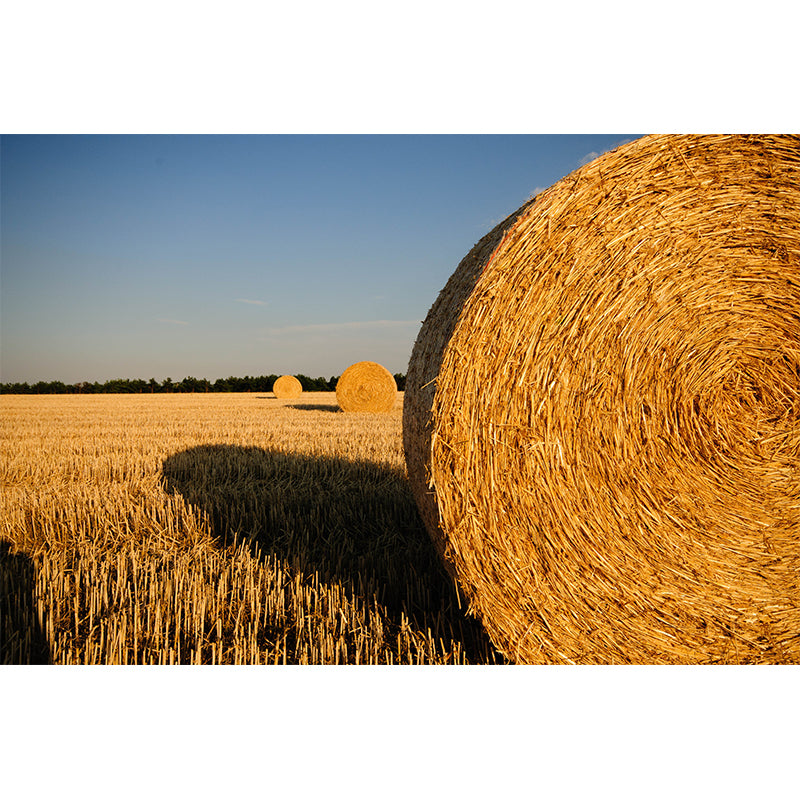 Farmland Haystack Mural Wallpaper Contemporary Non-Woven Fabric Wall Decor for Home Clearhalo 'Wall Decor' 'Wall Mural' 1895671