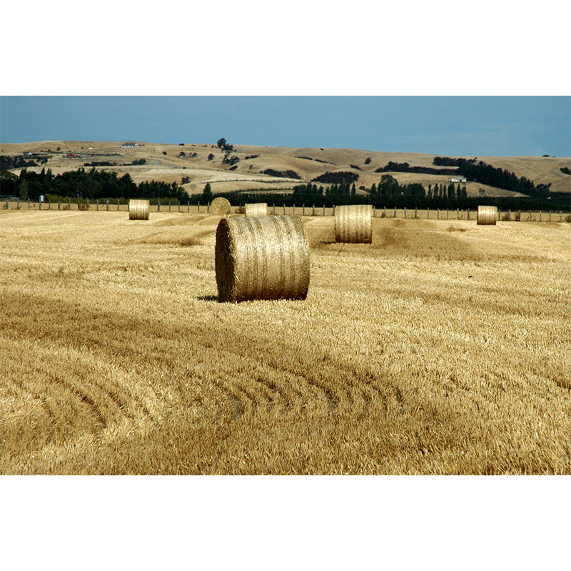 Farmland Haystack Mural Wallpaper Contemporary Non-Woven Fabric Wall Decor for Home Clearhalo 'Wall Decor' 'Wall Mural' 1895681