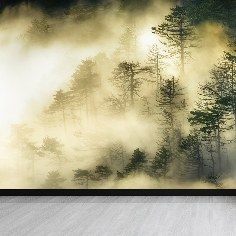 Dark Foggy Forest Mural Wallpaper Scenery Modern Waterproof Wall Art for Bedroom Clearhalo 'Wall Decor' 'Wall Mural' 1895860