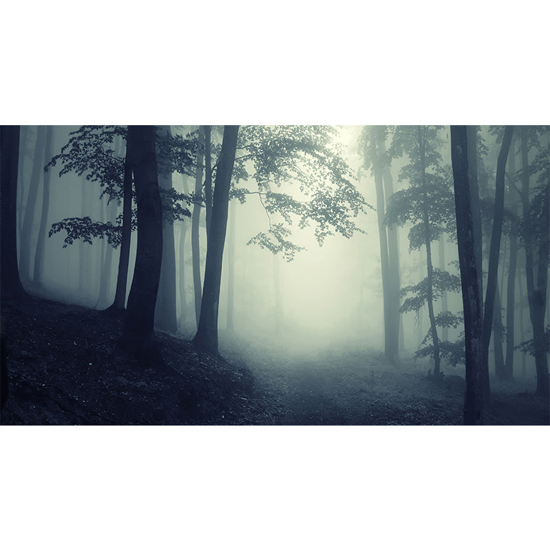 Dark Foggy Forest Mural Wallpaper Scenery Modern Waterproof Wall Art for Bedroom Clearhalo 'Wall Decor' 'Wall Mural' 1895871