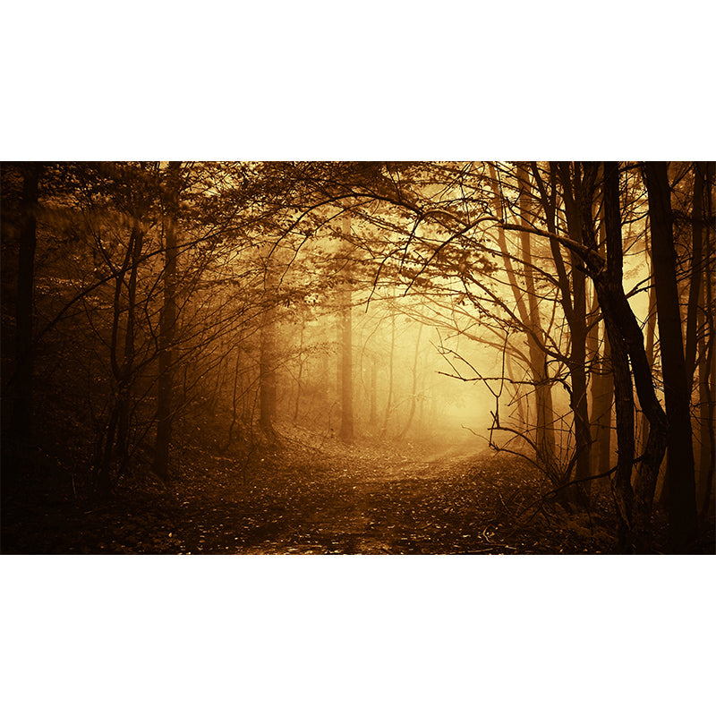 Dark Foggy Forest Mural Wallpaper Scenery Modern Waterproof Wall Art for Bedroom Clearhalo 'Wall Decor' 'Wall Mural' 1895876