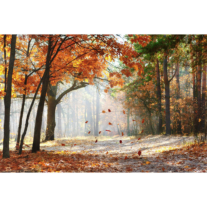 Whole Autumn Forest Mural Modern Mysterious Scenery Wall Art in Dark Color for Home Clearhalo 'Wall Decor' 'Wall Mural' 1895941